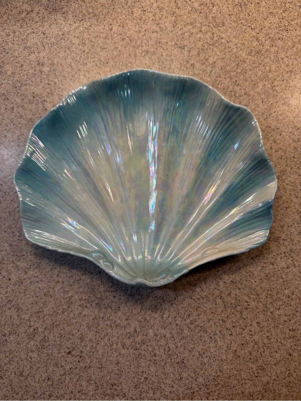 Decorative Ceramic Blue/White Shell Beach Theme Wall Mount